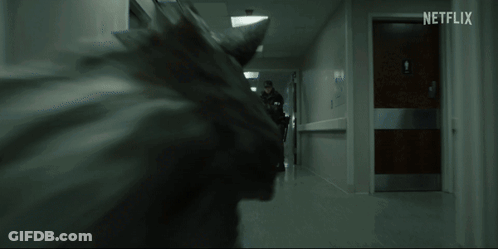 Netflix Logo In Hallway GIF