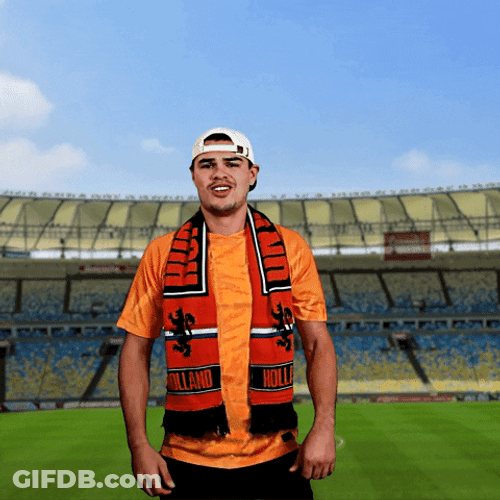Netherland World Cup Booo GIF