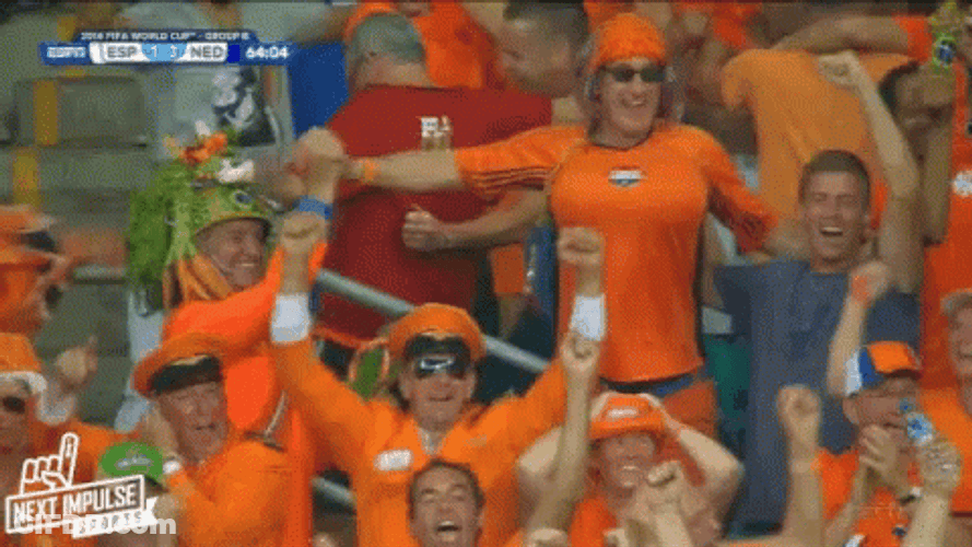 Netherlands Audiences Cheering GIF