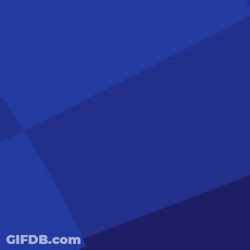 Netherlands Euro 2024 GIF