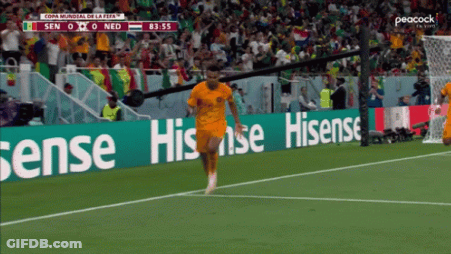 Netherlands Win World Cup GIF