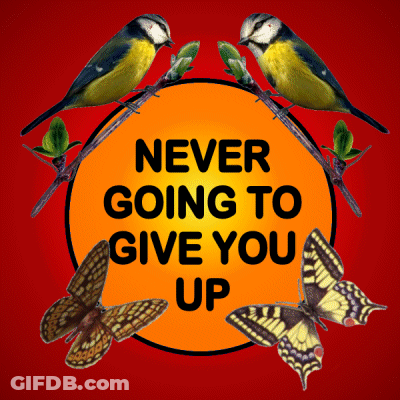 Never Going To Give You Up Sign With Birds And Butterflies GIF