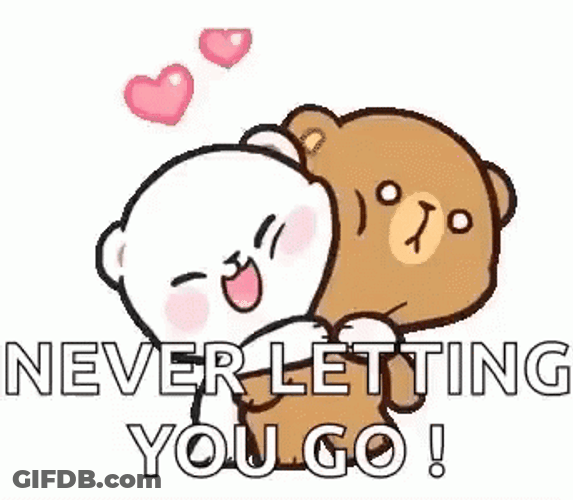 Never Letting You Go Tight Hold GIF
