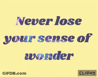 Never Lose Your Sense Of Wonder GIF