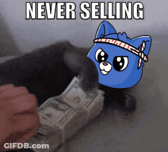 Never Selling Blue Cat GIF