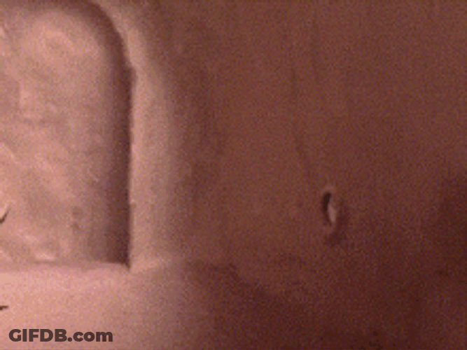 Neverhood Pressing Easy Button GIF
