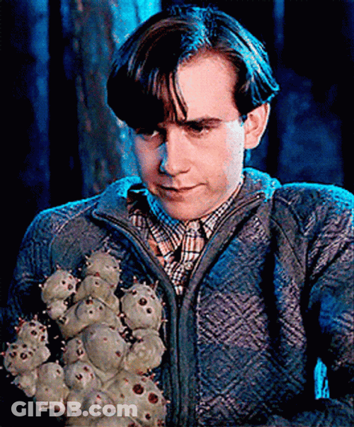 Neville Longbottom Holding Cactus GIF