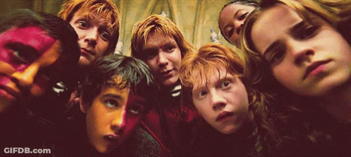 Neville Longbottom With Harry Potter Characters GIF