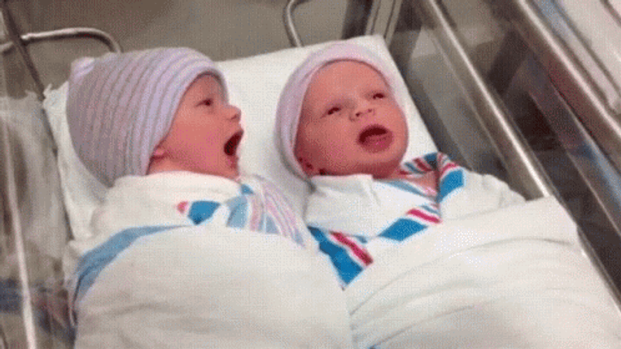 New Baby Twins Funny Face GIF