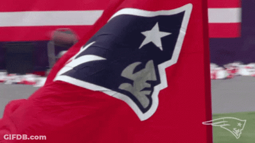 New England Patriots GIF