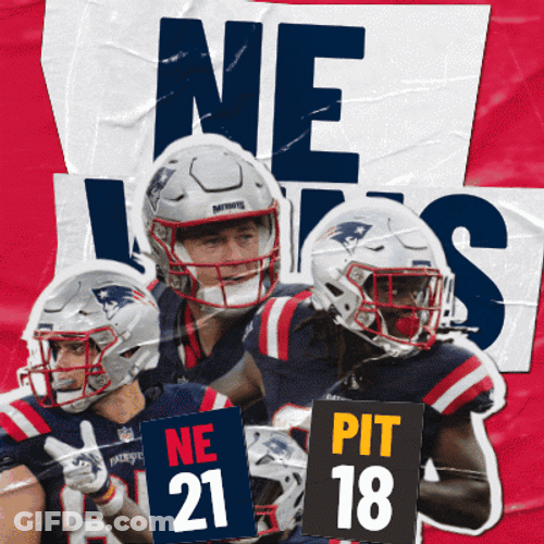 New England Patriots Wins GIF
