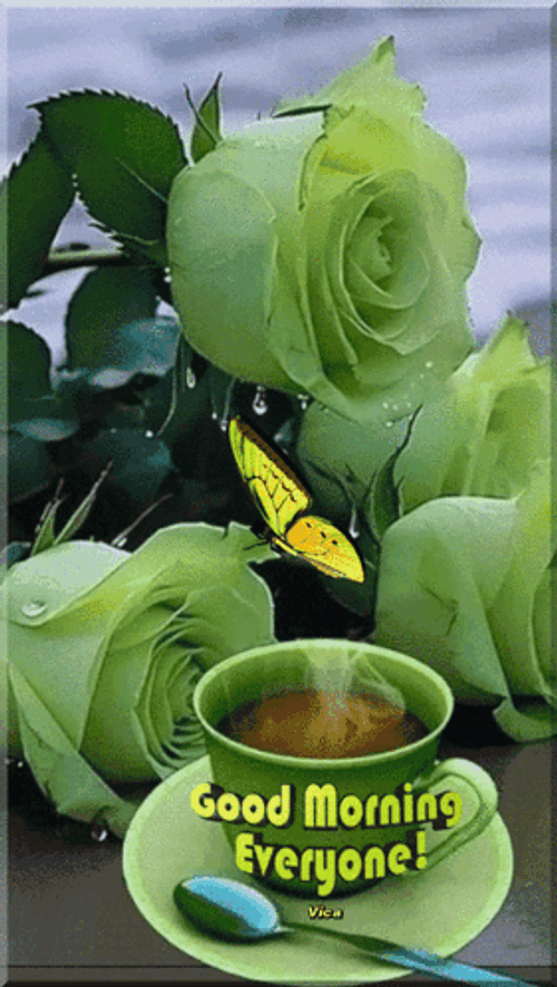 New Good Morning All In Green GIF