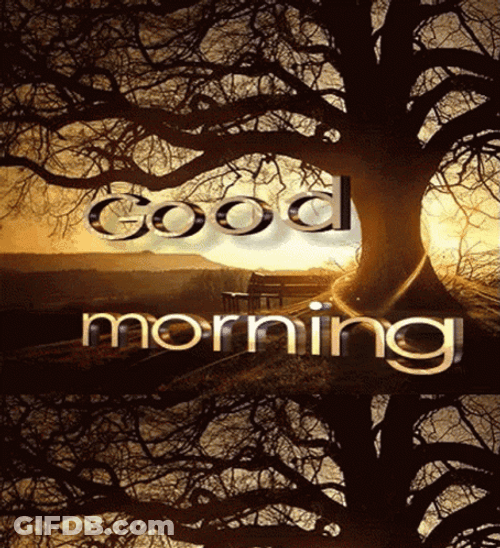 New Good Morning Beautiful Tree GIF
