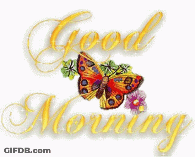New Good Morning Butterfly GIF
