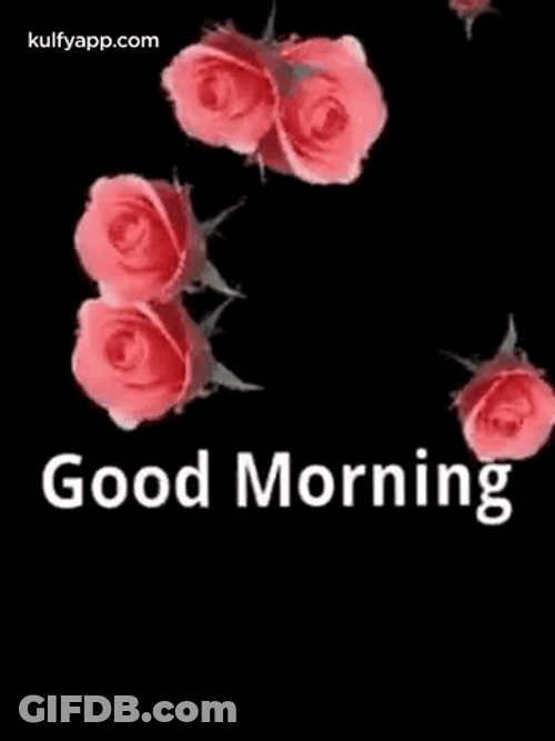 New Good Morning GIF File 612Kb GIF