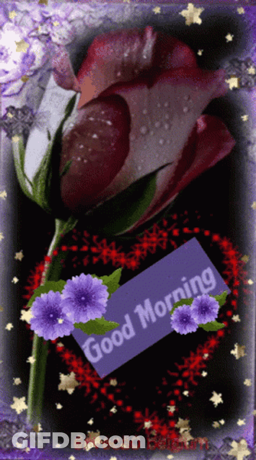 New Good Morning GIF File 756Kb GIF
