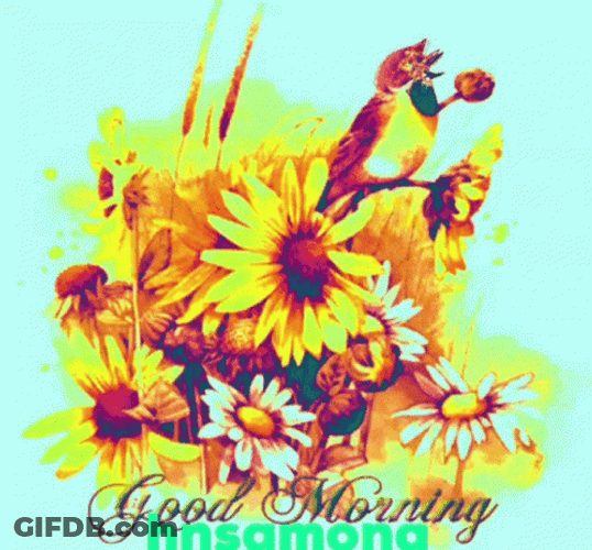 New Good Morning Hnsamona GIF