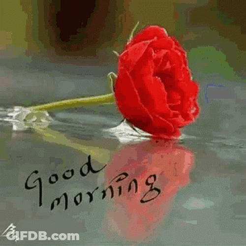 New Good Morning Red Flowers GIF