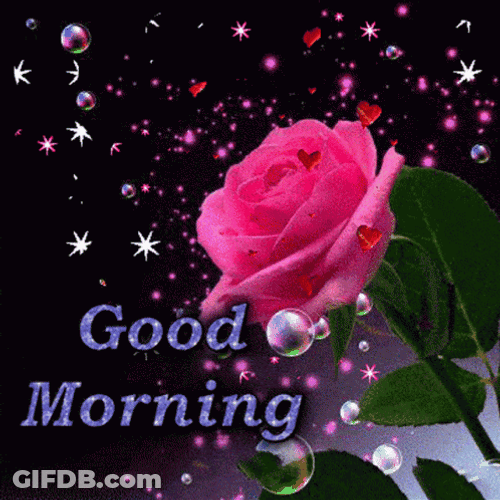 New Good Morning Rose Flower GIF