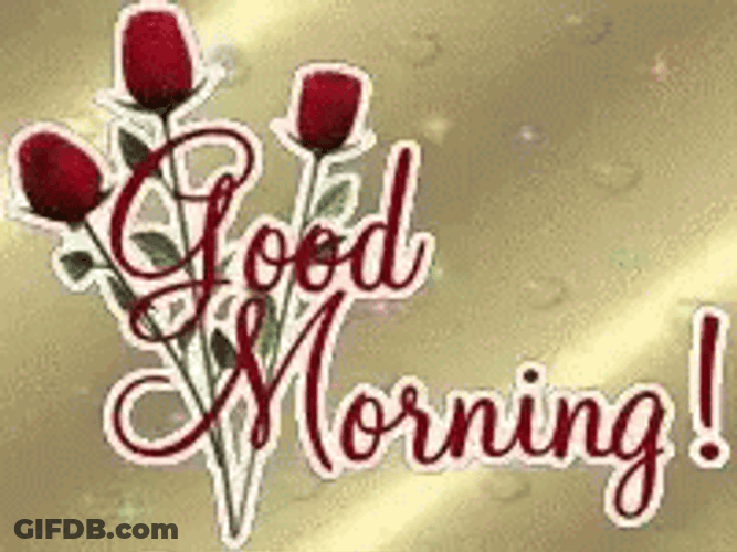 New Good Morning Rose In Gold GIF