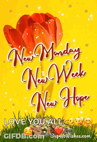 New Monday New Week New Hope Card With Red Flower GIF
