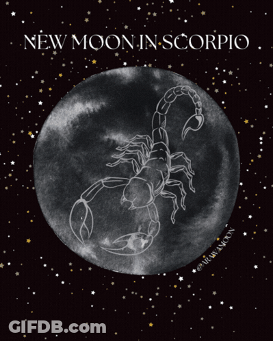 New Moon In Scorpio Poster With Scorpion GIF