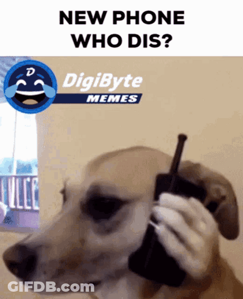 New Phone Who Dis Dog Fake Arm GIF