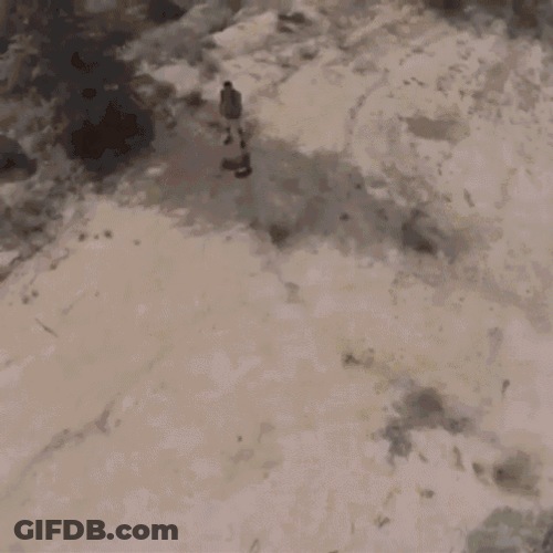 New Phone Who Dis Falcon Hawk Message GIF