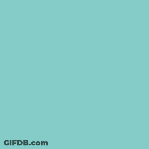 New Post Animation Instagram GIF