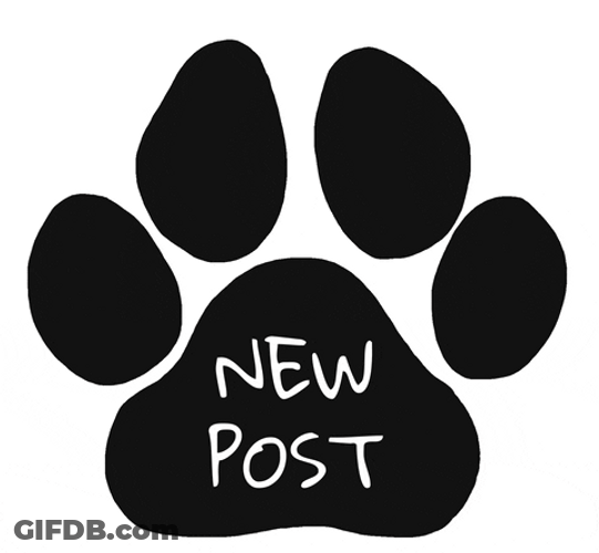 New Post Cute Dog Paw GIF