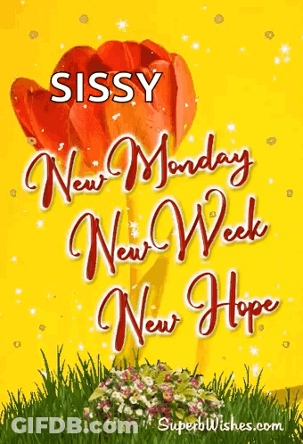 New Week Hope Card With Red Tulip GIF