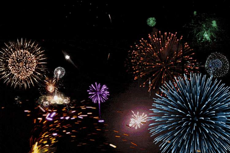New Year's Colorful Fireworks Display GIF