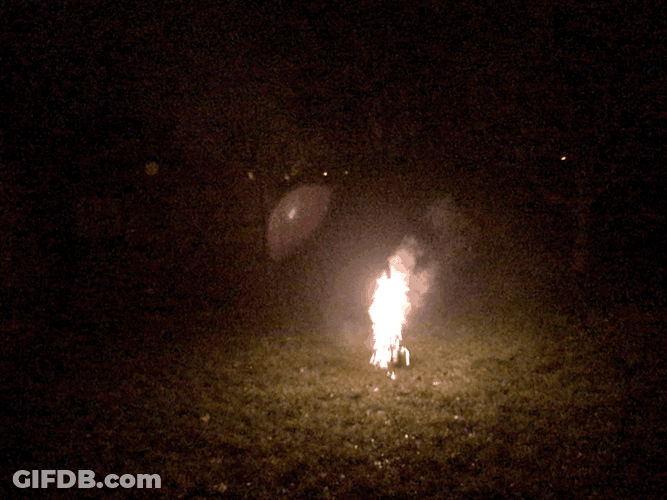New Year's Eve Exploding Fireworks GIF