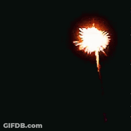 New Year's Eve Fireworks GIF