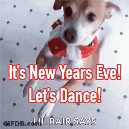 New Year's Eve Spinning Dog GIF