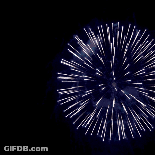 New Year's Resolution Poster Fireworks Salvation GIF
