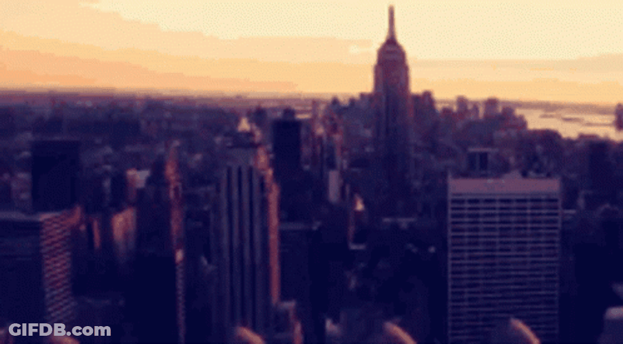 New York City Lights Night Life GIF
