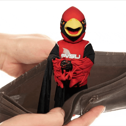New York Jets Mascot Where's My Money GIF