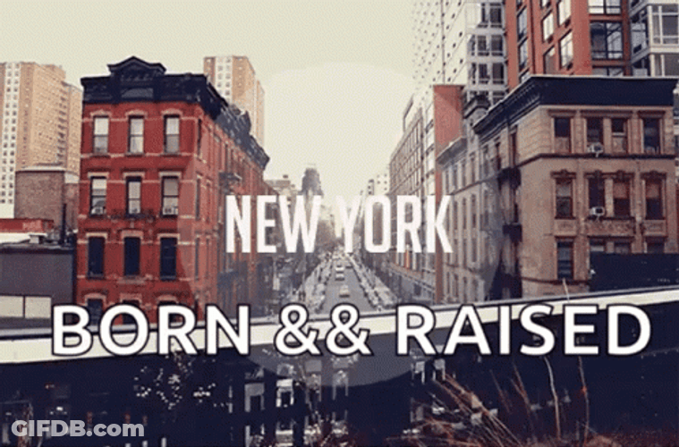 New York GIF
