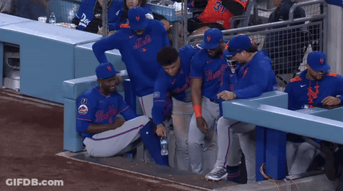 New York Mets In Dugout GIF