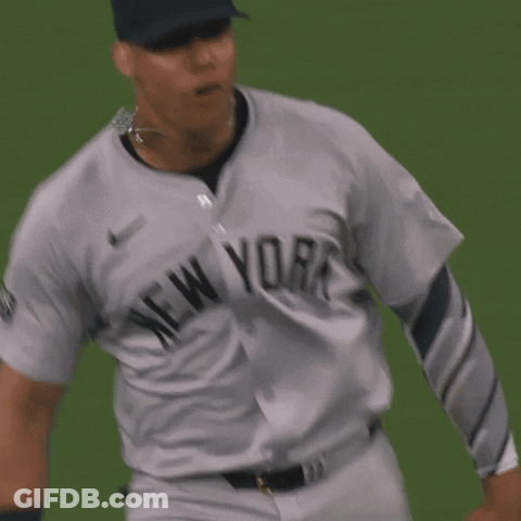 New York Yankees Baseball Player GIF