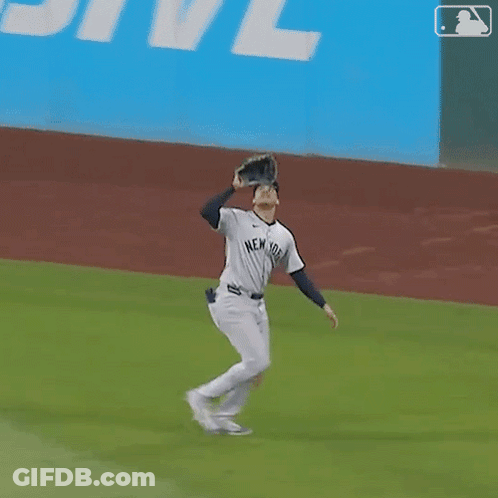 New York Yankees Baseball Player Catching Ball GIF