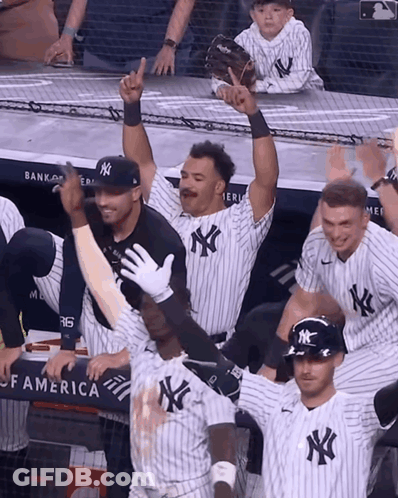 New York Yankees Celebrating GIF