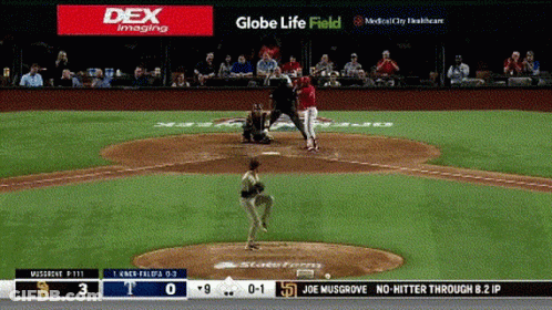 New York Yankees In Dugout Watching Game GIF