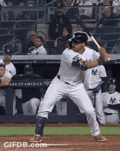 New York Yankees Player Bats GIF