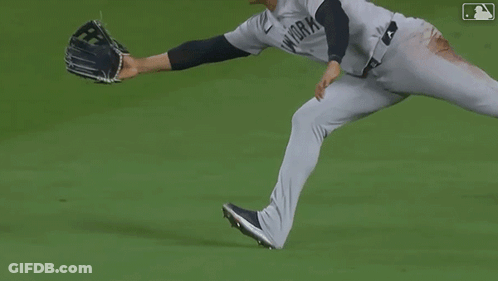 New York Yankees Player Catching Ball GIF