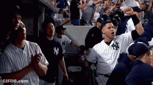 New York Yankees Player In Dugout GIF