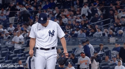 New York Yankees Player In Front Of Crowd GIF