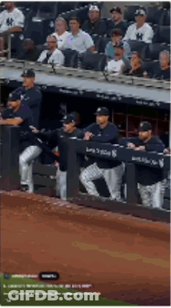 New York Yankees Sitting In Dugout Watching Game GIF