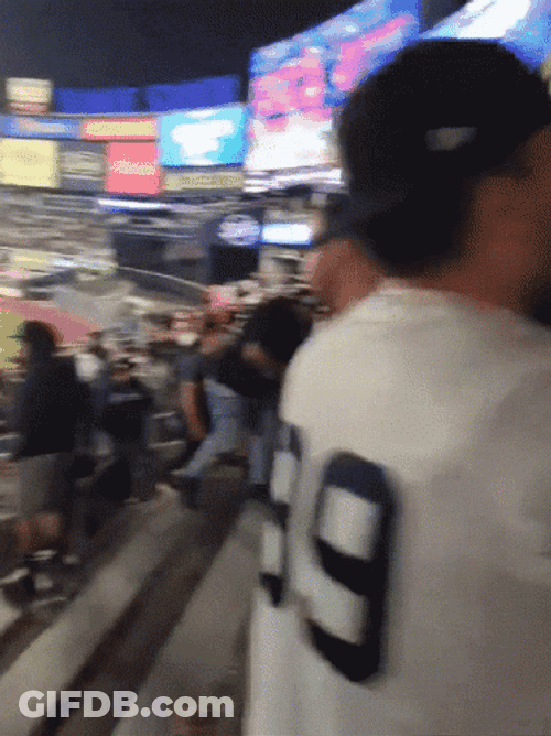 New York Yankees Sweep Dancing Fans GIF
